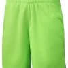 Wilson Team Ii 8 - Shorts - Gruen 1 Wilson Team Ii 8 - Shorts - Gruen -Wilson.NL 5578ab0a857c4885ab2da787d36ab5a7